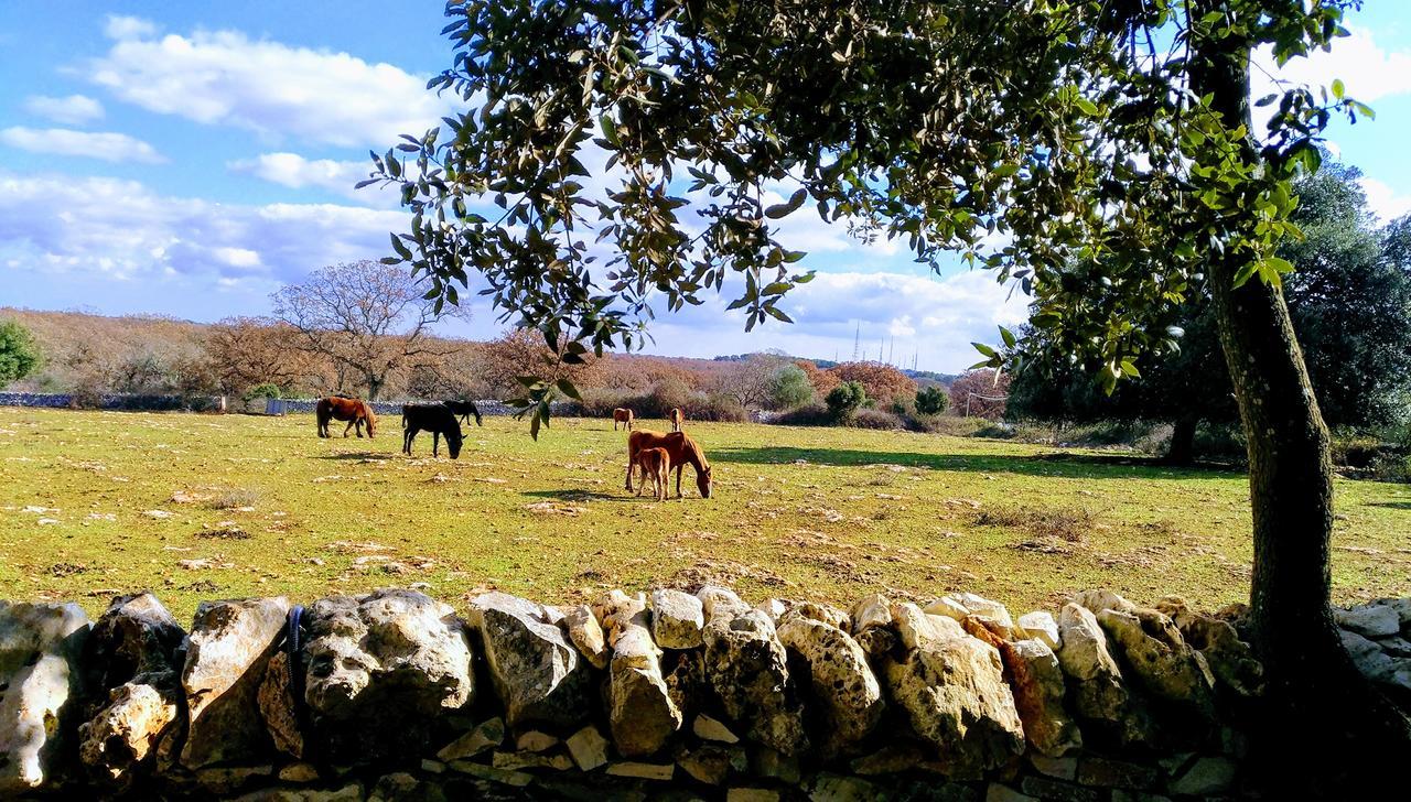 Agriturismo Iazzo Scagno Martina Franca Exteriér fotografie